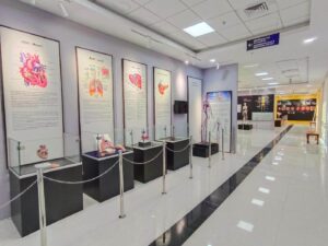 regional-science-museum-4