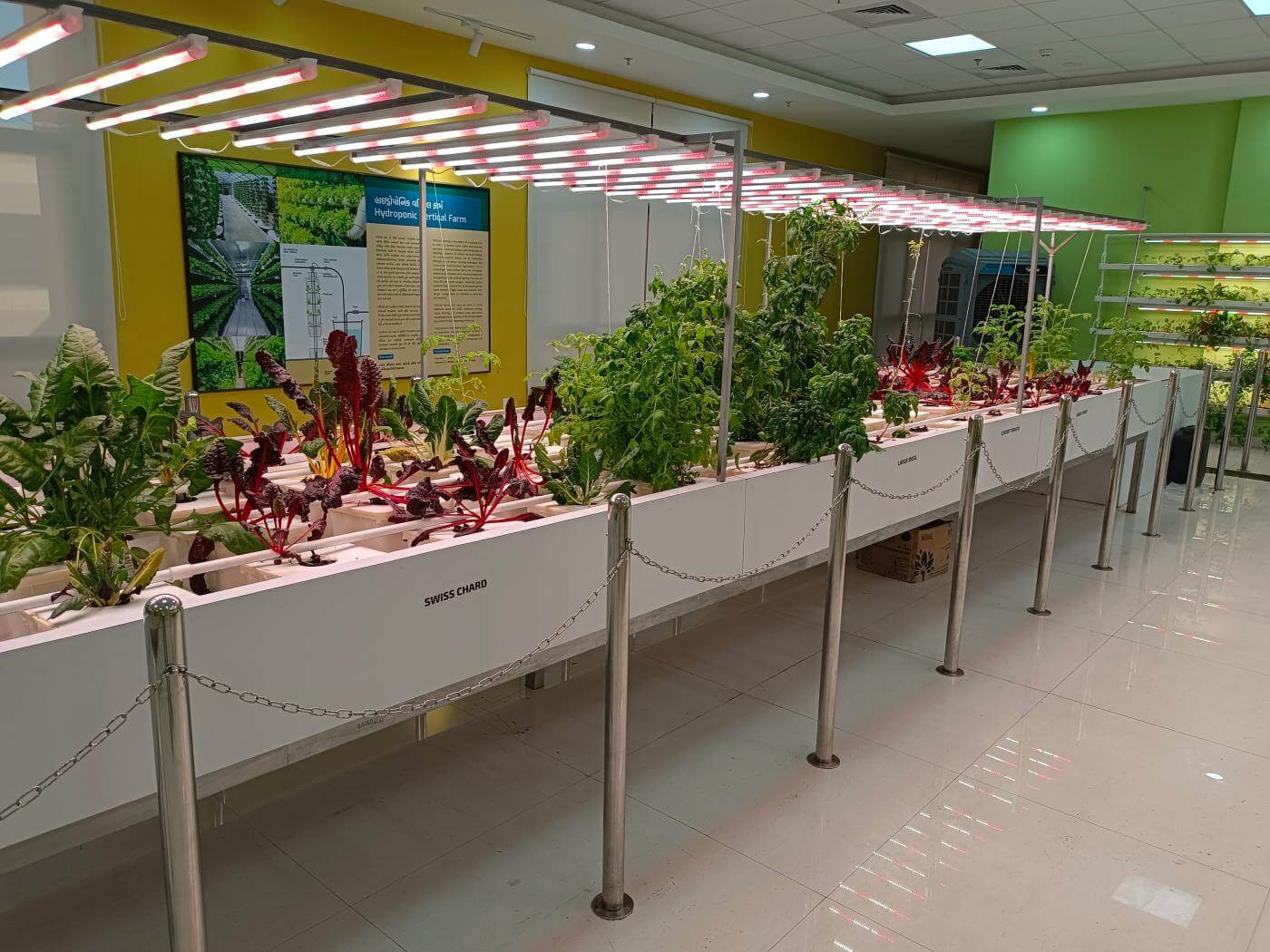 regional-science-museum-5